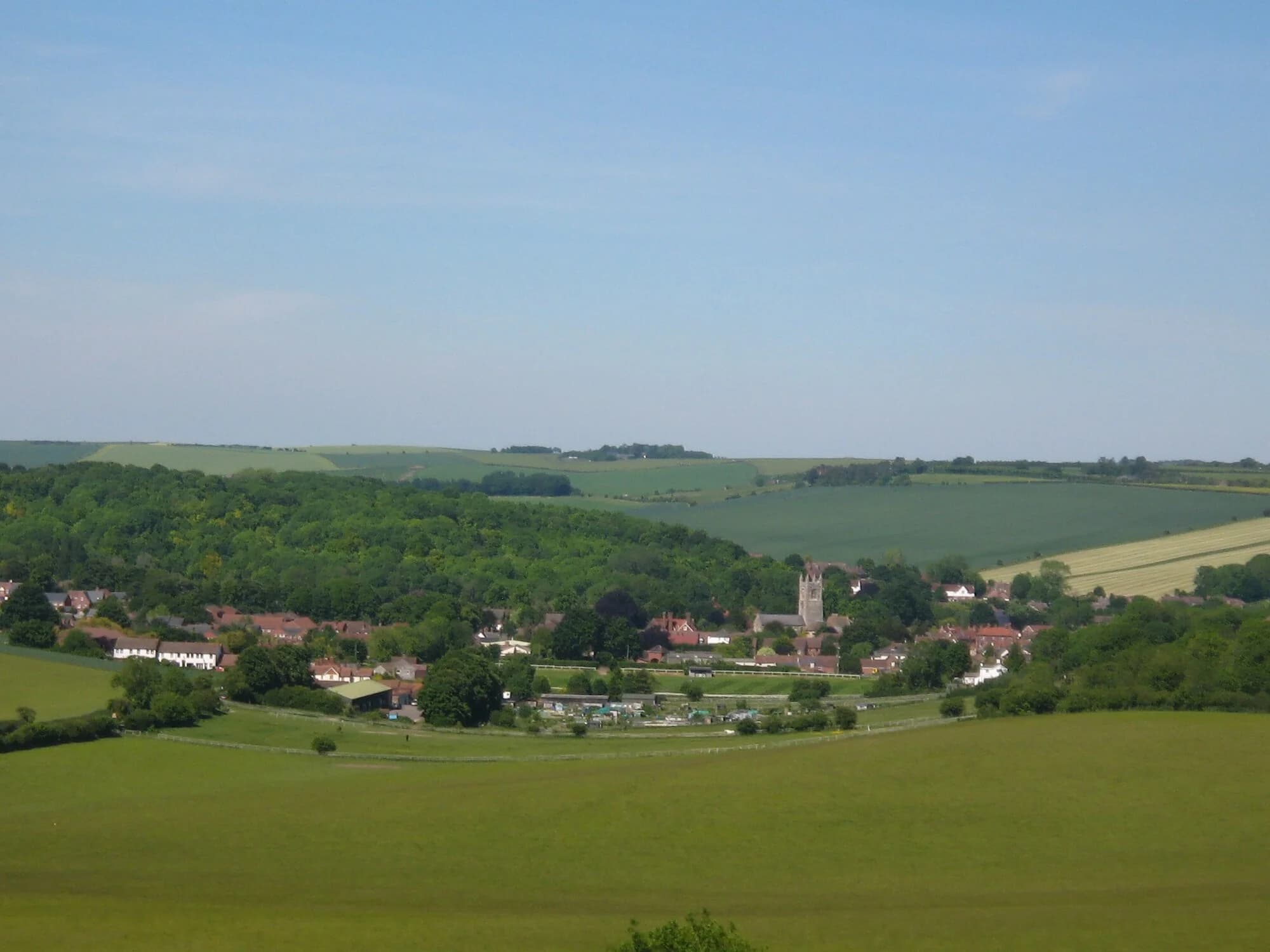 Vets in Lambourn