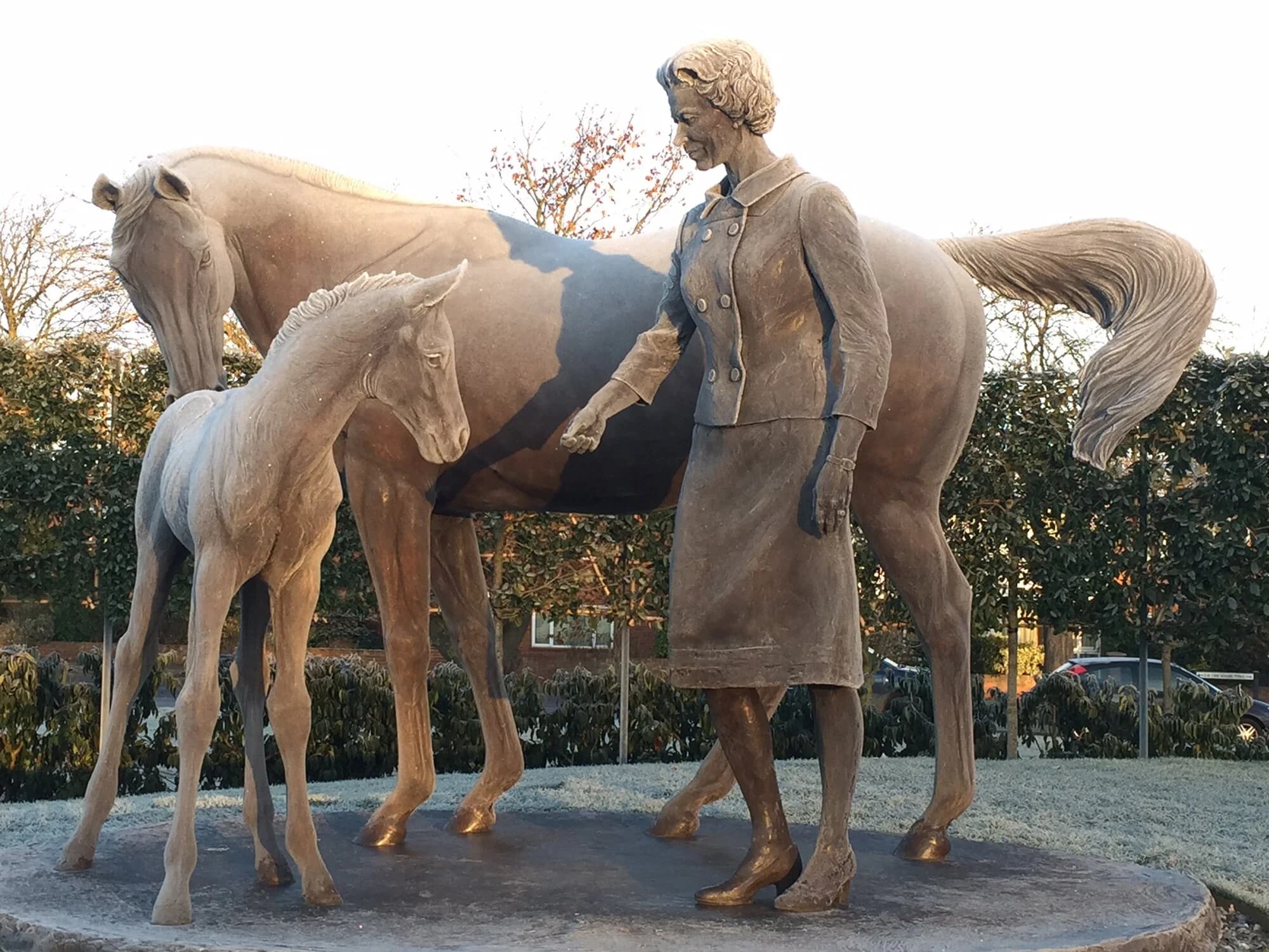 Vets in Newmarket