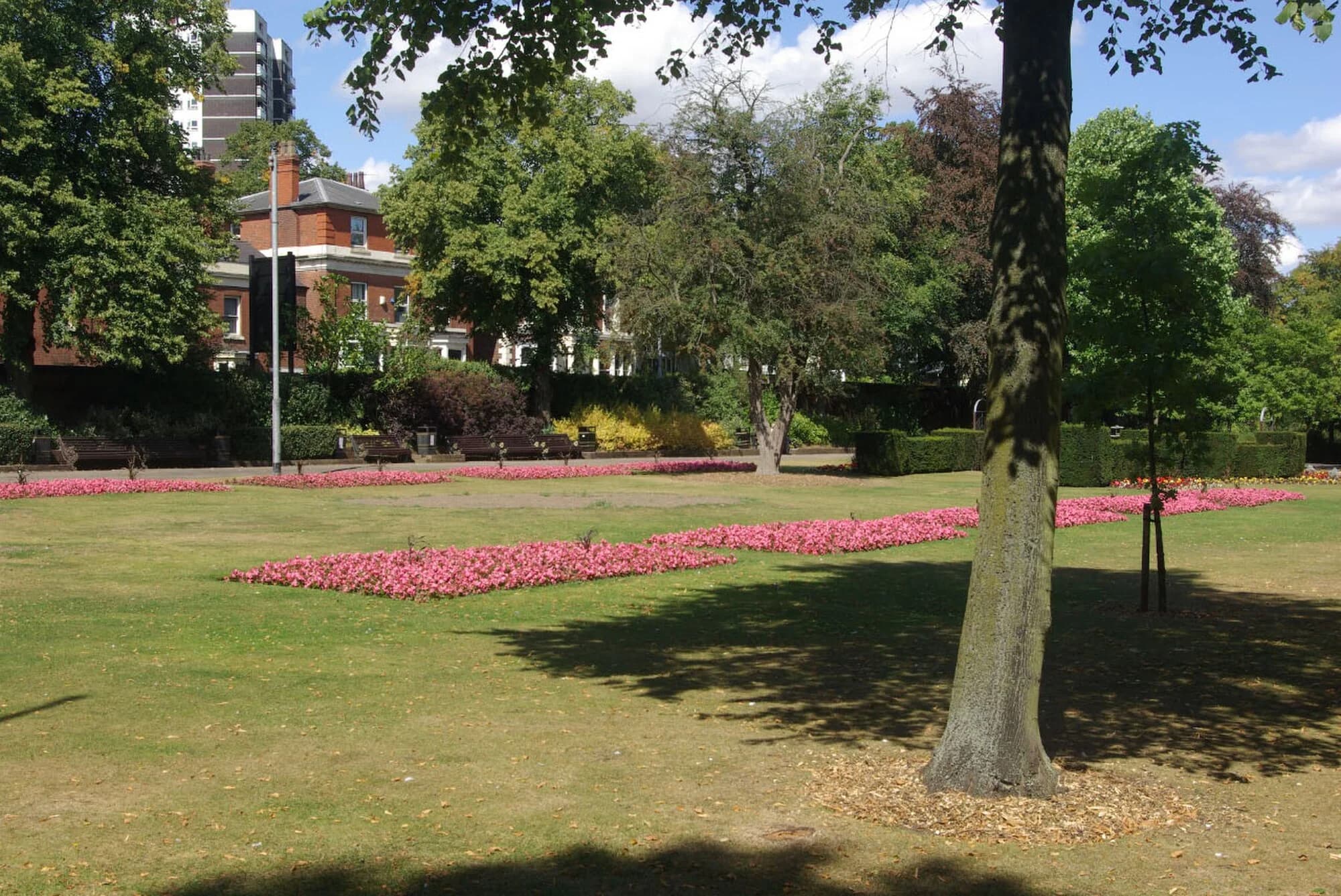 Vets in Walsall